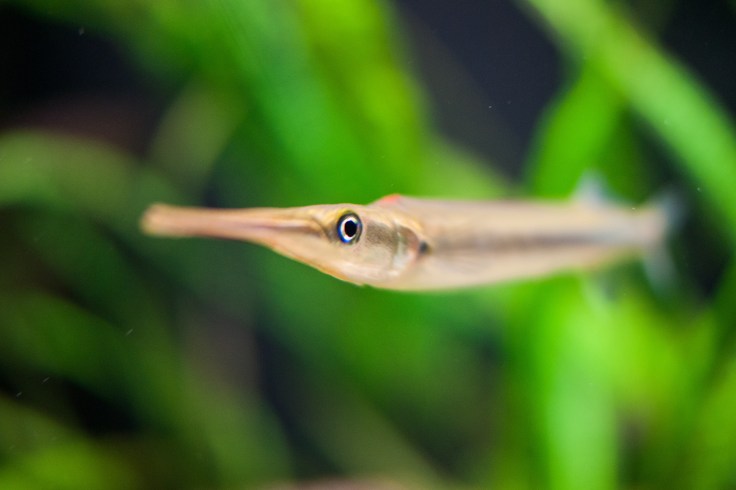 15917090174_3edfa19721_k