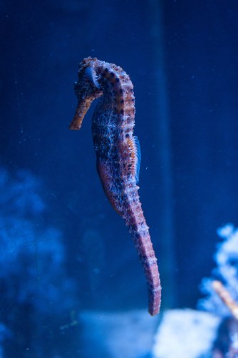 15917107164_05da07cda3_k