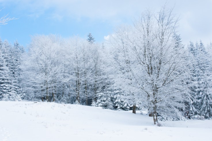 16235493437_317f645d3f_k