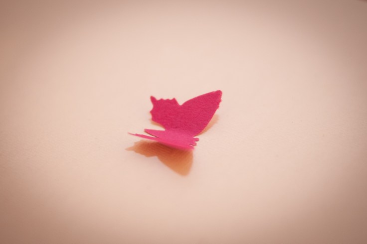 16352862430_0859549f93_k