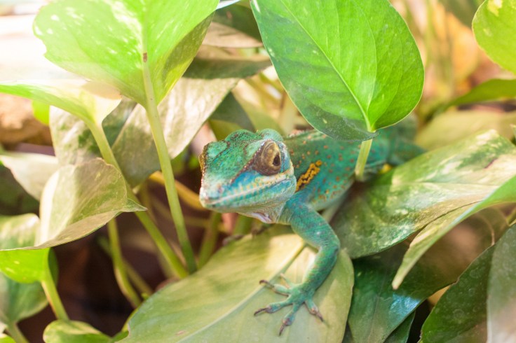 16538613572_5538902bbf_k