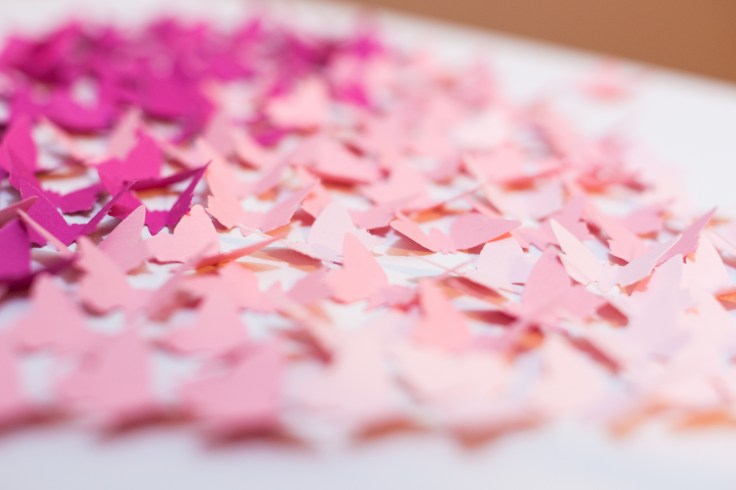 16538625151_f5ed70d193_k