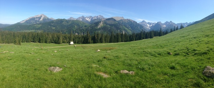 20150606_134255877_iOS